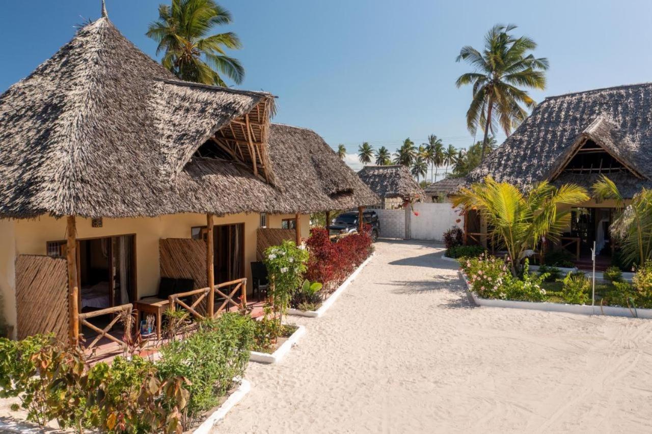 Amber Lodge Pongwe Zewnętrze zdjęcie